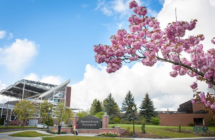 Outdoor Enthusiasts: Get a Summer Internship at Oregon Department of Fish & Wildlife