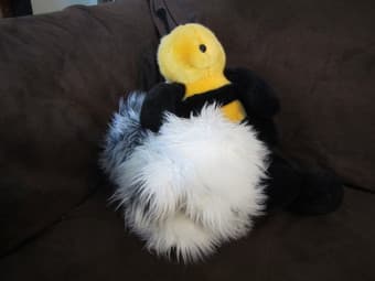 Stuffed Animals - like new $2 each 1