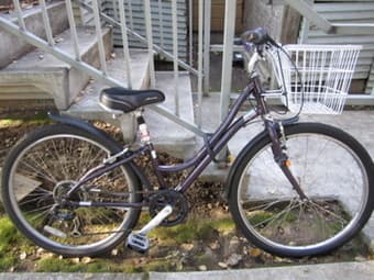 2011 RALEIGH VENTURE 7 SPEED BRAND NEW - $300 OBO 1