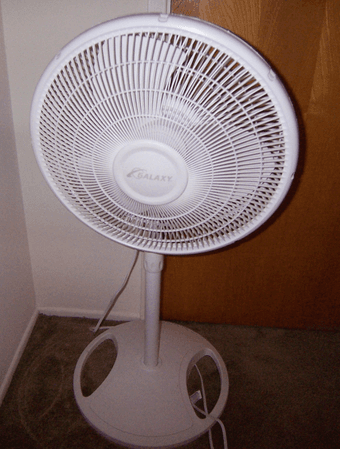 fans $10 each 2