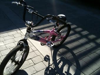 20" girl bike 2