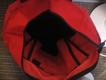 2 bags 2