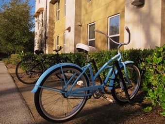 Marin Bike Model Hearts Desire for 150$ 1