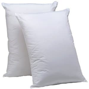 SELLING - 2 Almost New Pillows - $10 Total 1
