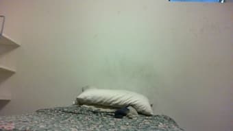 $600\month, summer sublet in Hippie House, Downtown Palo Alto 3