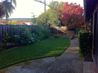 Los Altos room for rent 3