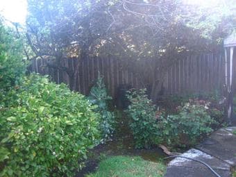$2950/mo 3/3 house in Menlo Park. Walk to Facebook, bike to campus 2