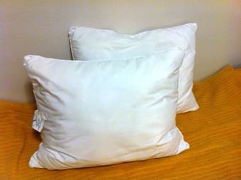 Revlon Blow Dryer and Pillows 2