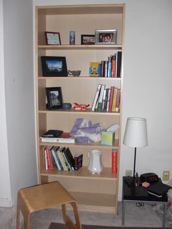 Very Large Bookshelf!! $45 1