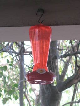 Bird Feeder and Hummingbird feeder $5 each 2