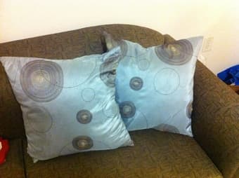 Two throw pillows - $10 each or $15 for both 1