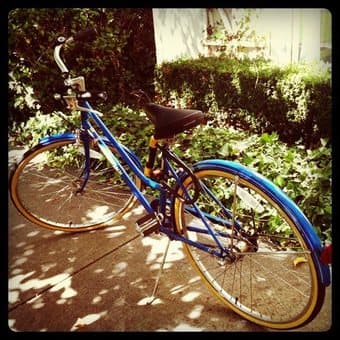 Vintage Schwinn Collegiate Bicycle 2