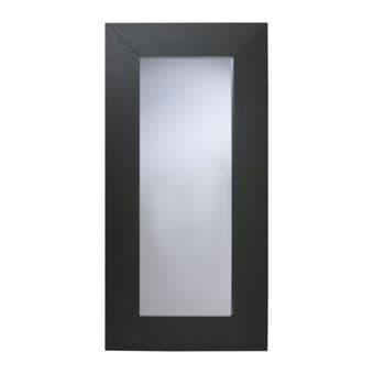 Large mirror- wish I could take it with me! $60 1