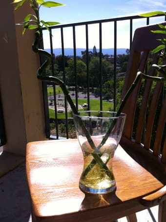 Flower vase - $2 1