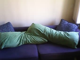 Couch sit for the summer 2