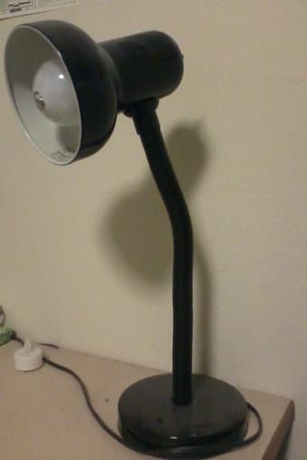 2 flexible table lamps ($10 each)& one motion activated lamp kit ($25) 1