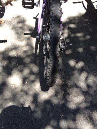 7 MONTH OLD SCHWINN HYBRID BIKE, $80 OBO 2