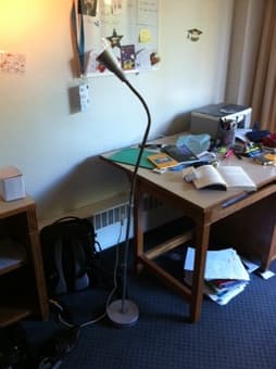 Super flexible lamp for reading or room light. 2