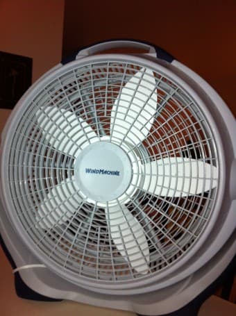 Fan $20 1