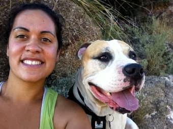 Room wanted 9/15-6/15: Female Grad Student w/dog 1