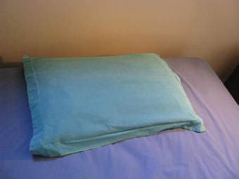 Egyptian Cotton Pillow and Pillow Case - $10 1