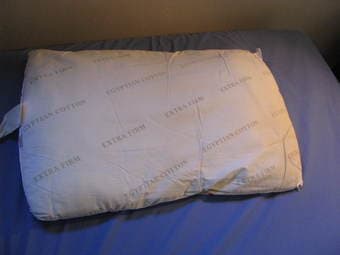 Egyptian Cotton Pillow and Pillow Case - $10 2