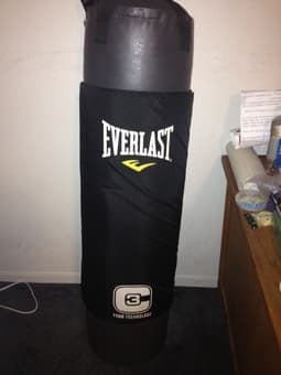 Boxing Punching Bag Everlast $80 1