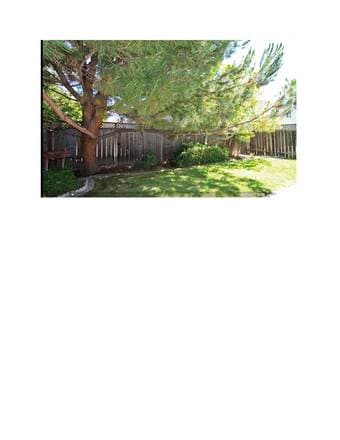 Cute Cottage in Westside of Redwood City for Rent $1400 1