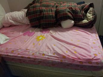 $150 - Queen size mattress (box spring and frame included) 2