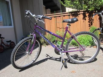2 Raleigh Bikes and 2 Children's Bikes for Sale 2