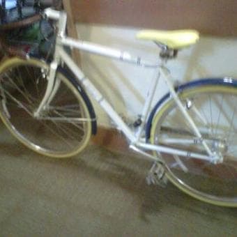 BIKE STOLEN 1