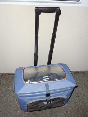 Arctic Zone Trolley Cooler--Great for party or grocery shopping 1
