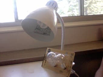 Desk lamp + 2 light bulbs! 8$ 1