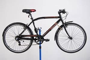 Bianchi Bike $250 OBO 1
