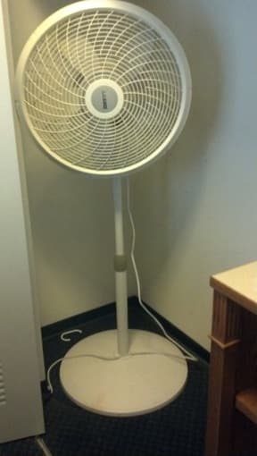 Pedestal Fan for $15 1