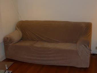 Sofa - $80 1