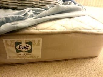 Sealy Summer Grove Twin Mattress - $95 1