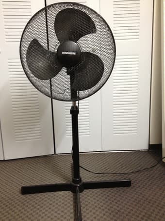 Lightly used Oscillating Pedestal fan for sale by graduating student 2