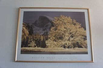 Cute decor and paintings 2