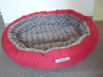 Dog bed $10 1