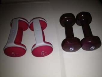 pair of 5 pound weights 1