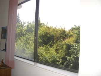 Room Available 2