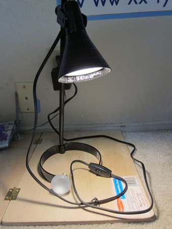 Moving sale:  Table Lamp 1