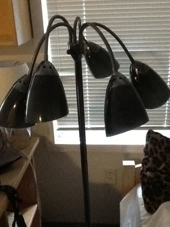 Two Lamps $50 for both 1