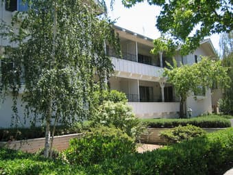 Share 2bed/1bath in downtown Palo Alto 1