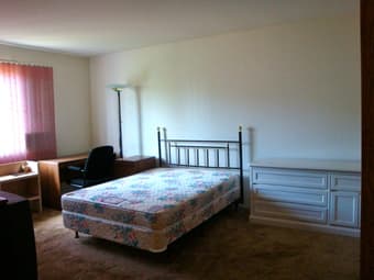 Room available in Los Altos 1