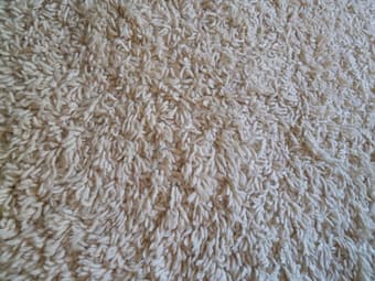 Wool Shag Carpet 1