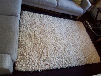 Wool Shag Carpet 2