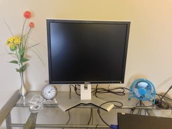 3-in-1 printer, LCD monitor, laptop bag 2