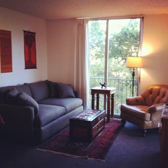1 bedroom EV apt for July 2